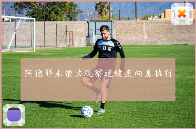 阿德耶米能力观察连续变向看执行