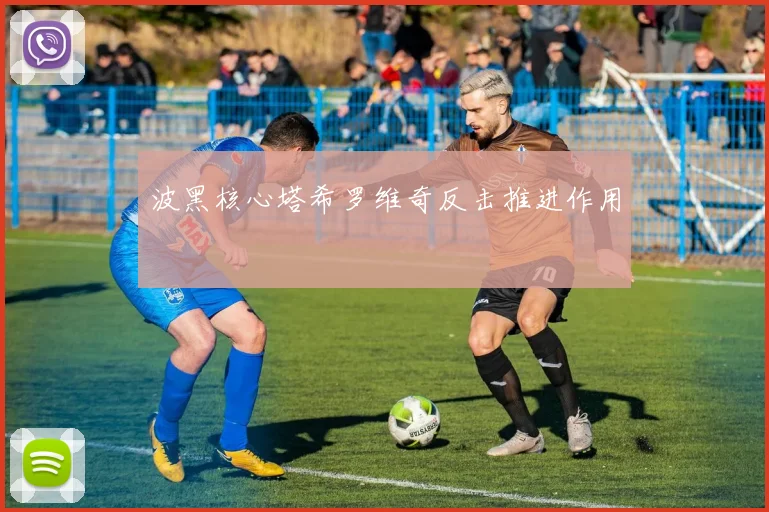 波黑核心塔希罗维奇反击推进作用