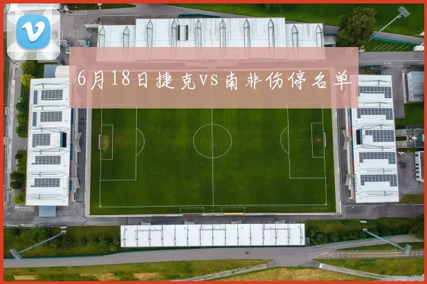 6月18日捷克vs南非伤停名单