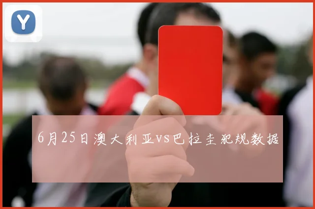 6月25日澳大利亚vs巴拉圭犯规数据